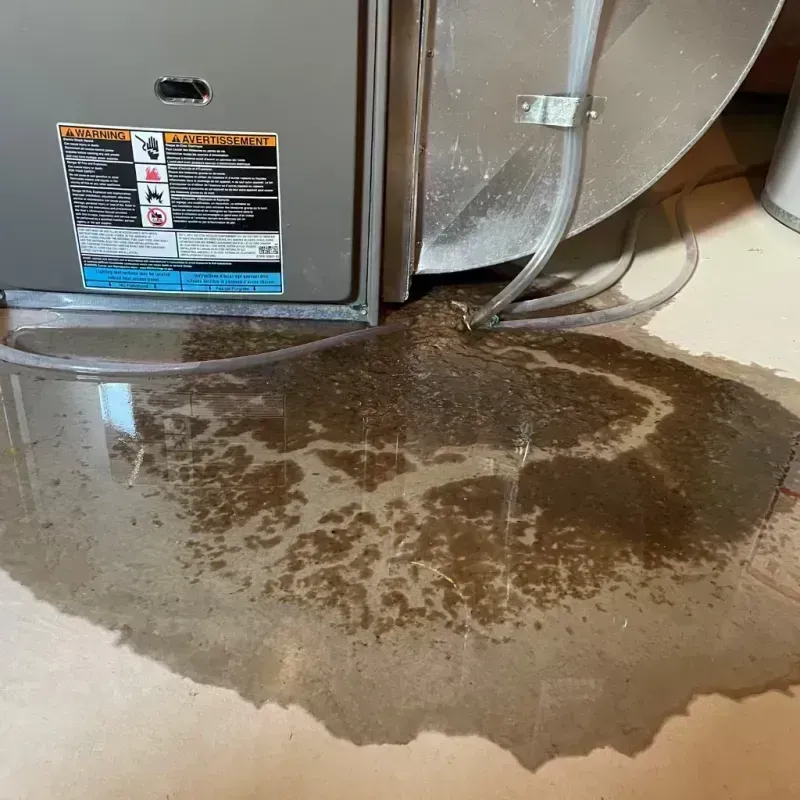 Appliance Leak Cleanup in Peoria Heights, IL